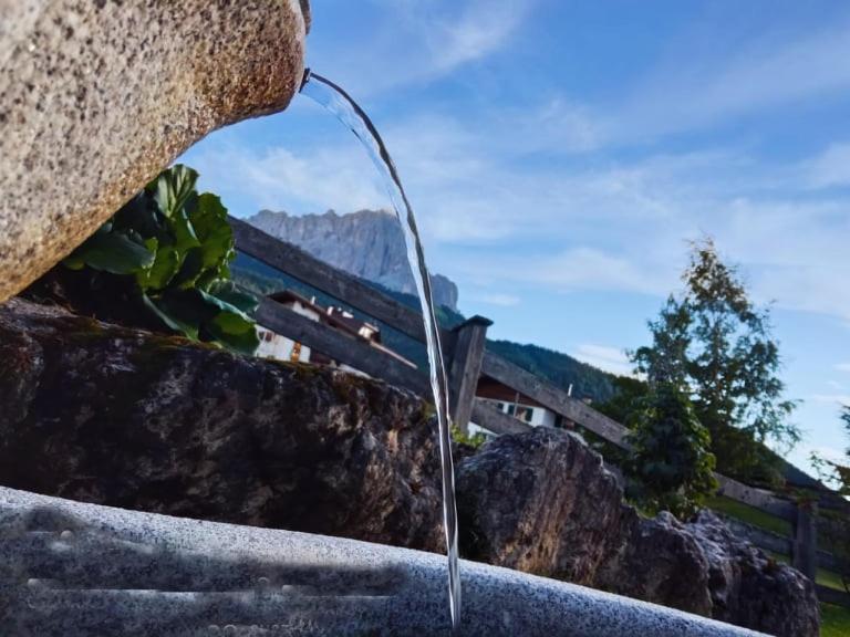 Garni Hotel Iris 塞尔瓦迪加尔代纳山谷 外观 照片