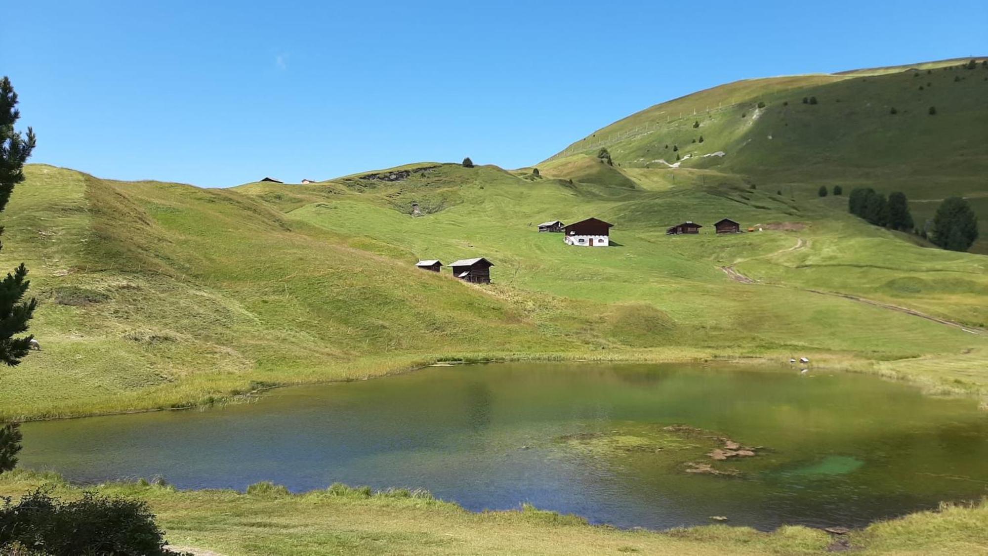 Garni Hotel Iris 塞尔瓦迪加尔代纳山谷 外观 照片